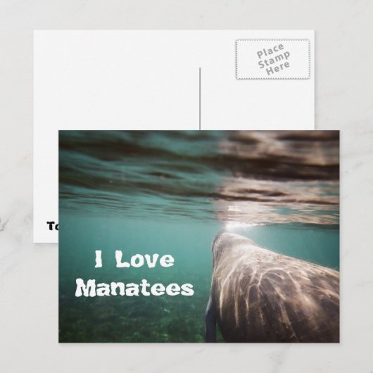 I Love Manatees Briefkaart (Voorkant / Achterkant)