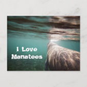 I Love Manatees Briefkaart (Voorkant)