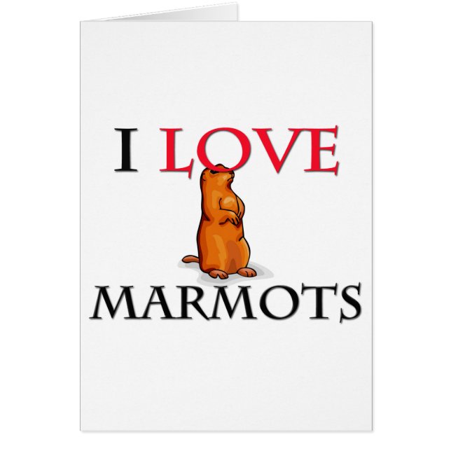 I Love Marmots (Voorkant)