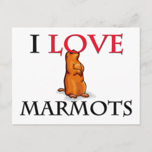I Love Marmots Briefkaart