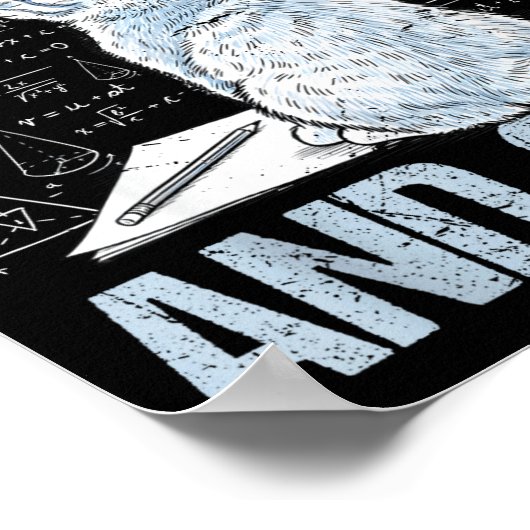 I Love Math And Cats Science Teacher Student Funny Poster (Hoek)