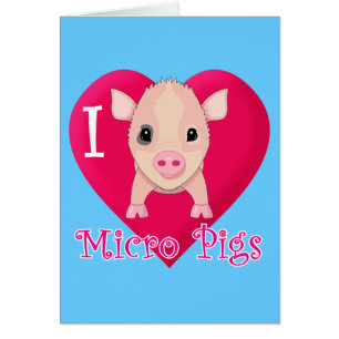 I Love Micro Pigs