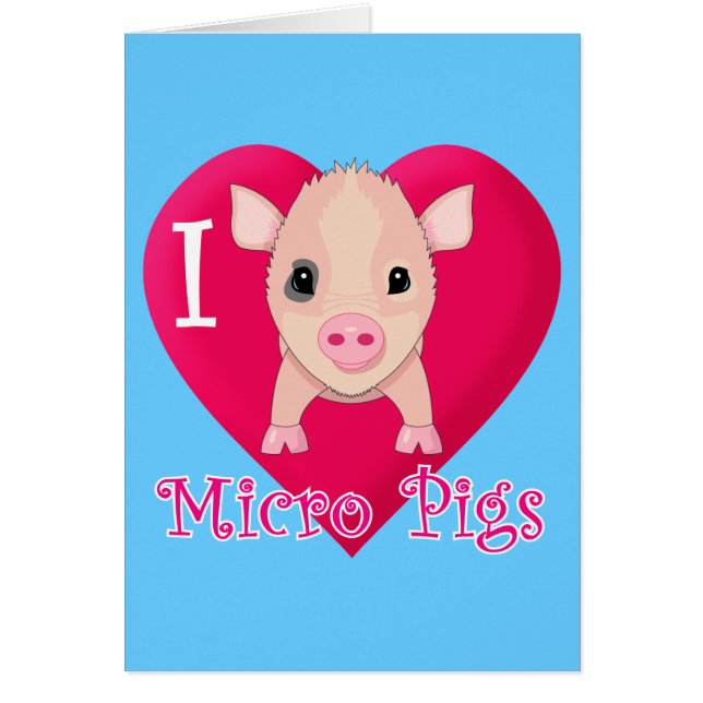 I Love Micro Pigs (Voorkant)