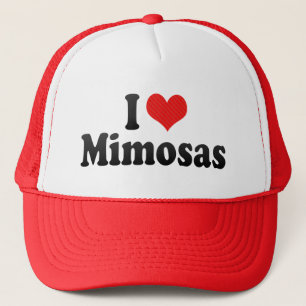 I Love Mimosas Trucker Pet