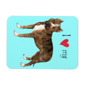 I Love my American Staffordshire Terrier Magneet (Horizontaal)