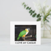 I LOVE MY CAIQUE BRIEFKAART (Staand voorkant)