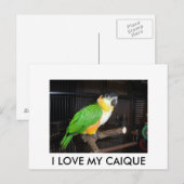 I LOVE MY CAIQUE BRIEFKAART (Voorkant / Achterkant)
