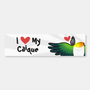 I Love My Caïque / Lovebird / Pionus / Parrot Bumpersticker