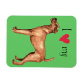 I Love my Irish Terrier Magneet (Horizontaal)