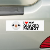 I LOVE MY QUAKER PARROT – grey Bumpersticker (Op auto)