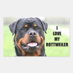 I Love My Rottweiler Rechthoekige Sticker