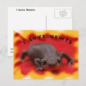 I Love Newts Briefkaart (Voorkant / Achterkant)