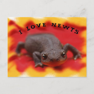 I Love Newts Briefkaart