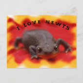 I Love Newts Briefkaart (Voorkant)