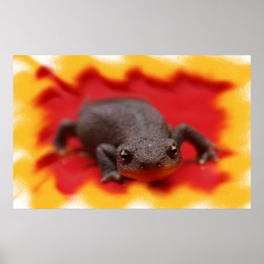 I Love Newts Fine Art Prints (Voorkant)