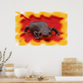 I Love Newts Fine Art Prints (Keuken)