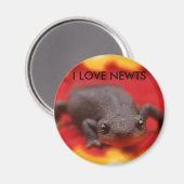 I Love Newts Magneet (Voorkant / Achterkant)