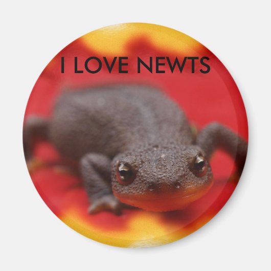 I Love Newts Magneet (Voorkant)