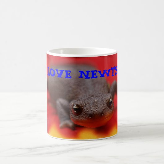 I Love Newts Mokken (Center)