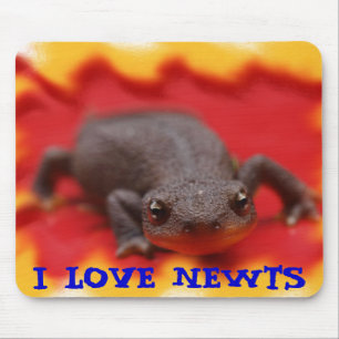 I Love Newts Muismat