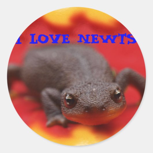 I Love Newts Ronde Sticker (Voorkant)