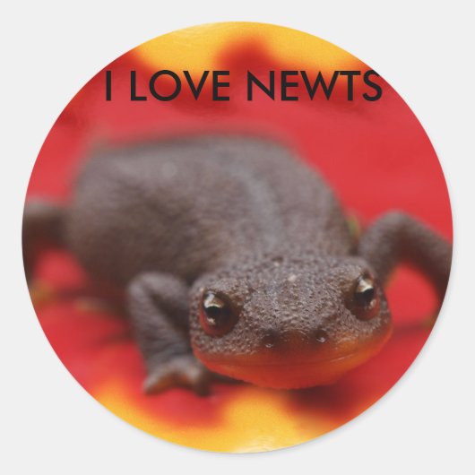 I Love Newts Ronde Sticker (Voorkant)