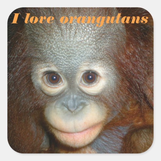 I Love Orangutan Vierkante Sticker (Voorkant)