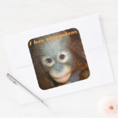 I Love Orangutan Vierkante Sticker (Envelop)