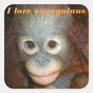 I Love Orangutan Vierkante Sticker