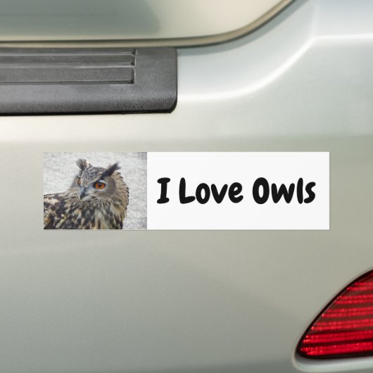 I Love Owls Bumpersticker (Op auto)