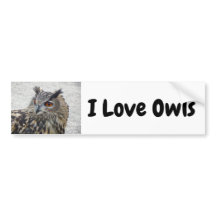 I Love Owls Bumpersticker