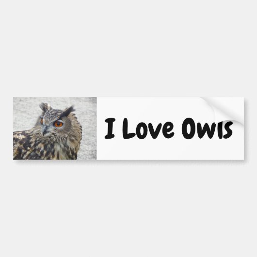 I Love Owls Bumpersticker (Voorkant)
