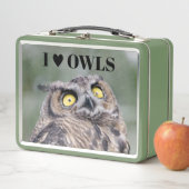 I Love Owls Lunchbox (In situ)