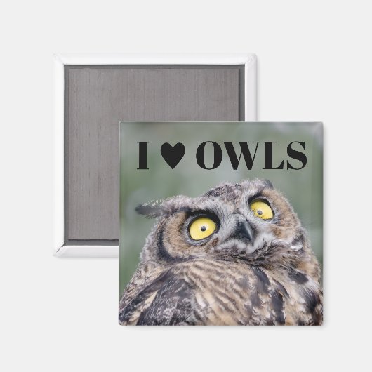 I Love Owls Magnet (Voorkant / Achterkant)