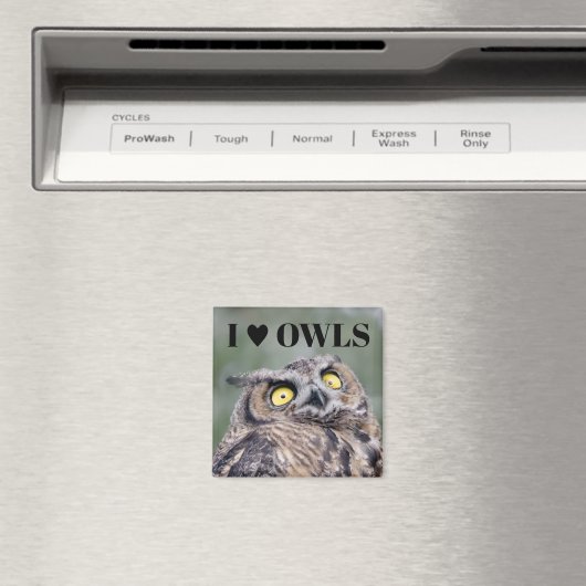 I Love Owls Magnet (Insitu (Vaatwasser))