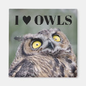 I Love Owls Magnet (Voorkant)