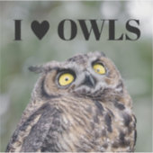 I Love Owls Sticker (Voorkant)