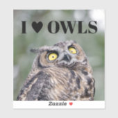 I Love Owls Sticker (Vel)