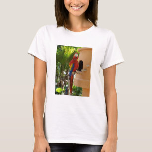 I Love Parrots T-shirt