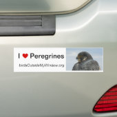 I Love Peregrines Pittsburgh Bumpersticker (Op auto)