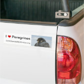I Love Peregrines Pittsburgh Bumpersticker (Op Truck)