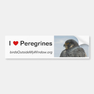 I Love Peregrines Pittsburgh Bumpersticker