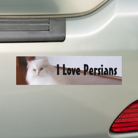 I Love Persian cats bumper sticker (Op auto)