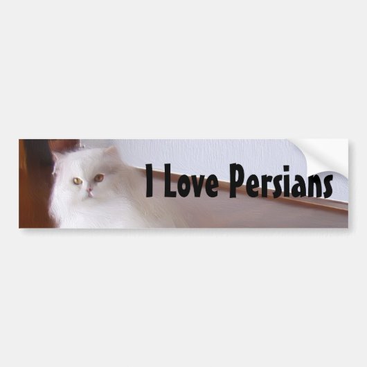 I Love Persian cats bumper sticker (Voorkant)