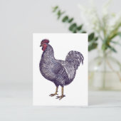 I Love Plymouth Rock Chickens -  Rooster Briefkaart (Staand voorkant)
