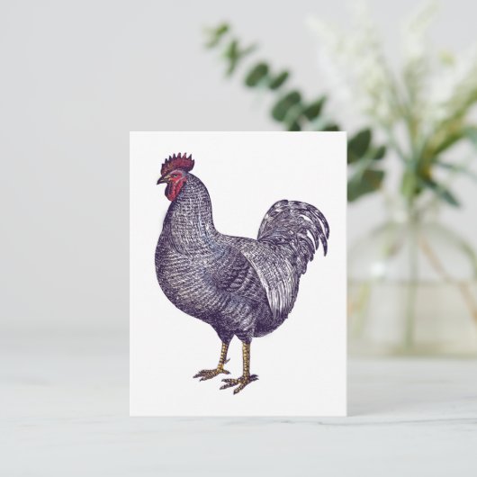 I Love Plymouth Rock Chickens -  Rooster Briefkaart (Staand voorkant)
