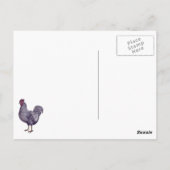 I Love Plymouth Rock Chickens -  Rooster Briefkaart (Achterkant)