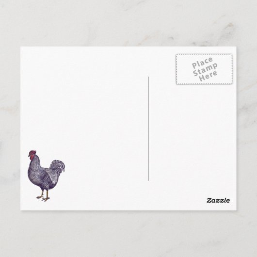 I Love Plymouth Rock Chickens -  Rooster Briefkaart (Achterkant)