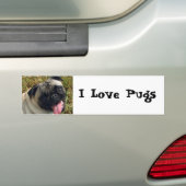 I Love Pugs Bumpersticker (Op auto)