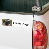 I Love Pugs Bumpersticker (Op Truck)
